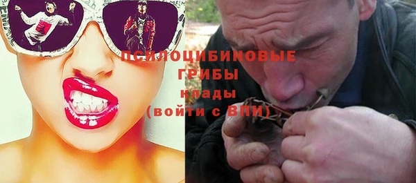 соль курить ск Инсар
