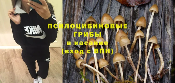 mdpv Иннополис