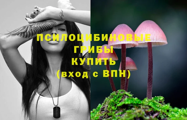 соль курить ск Инсар