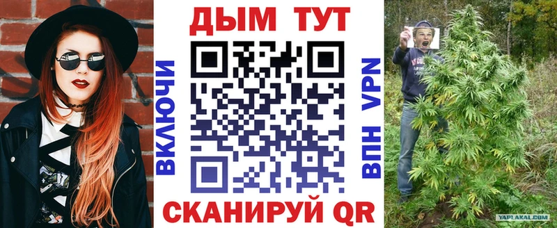 Конопля Amnesia  Купить где  Ядрин 